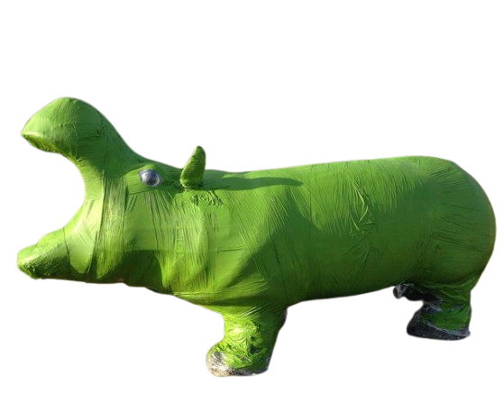 Etta dressed for St. Patrick's Day
